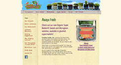 Desktop Screenshot of farmingturtles.com