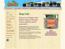 Tablet Screenshot of farmingturtles.com